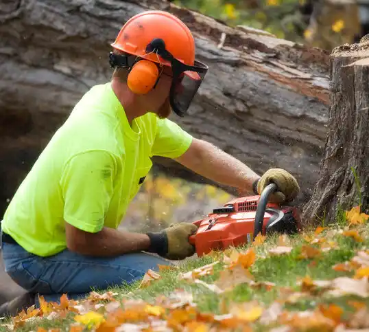 tree services Green Park